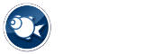 Website by Fish Media